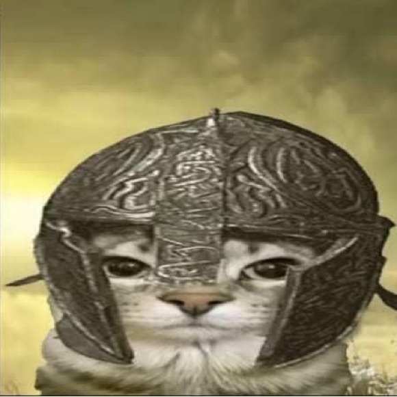 nicoqt